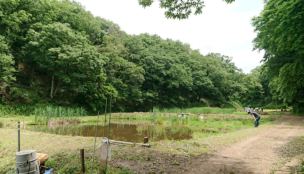 写真：遊休農地における湿地の再生