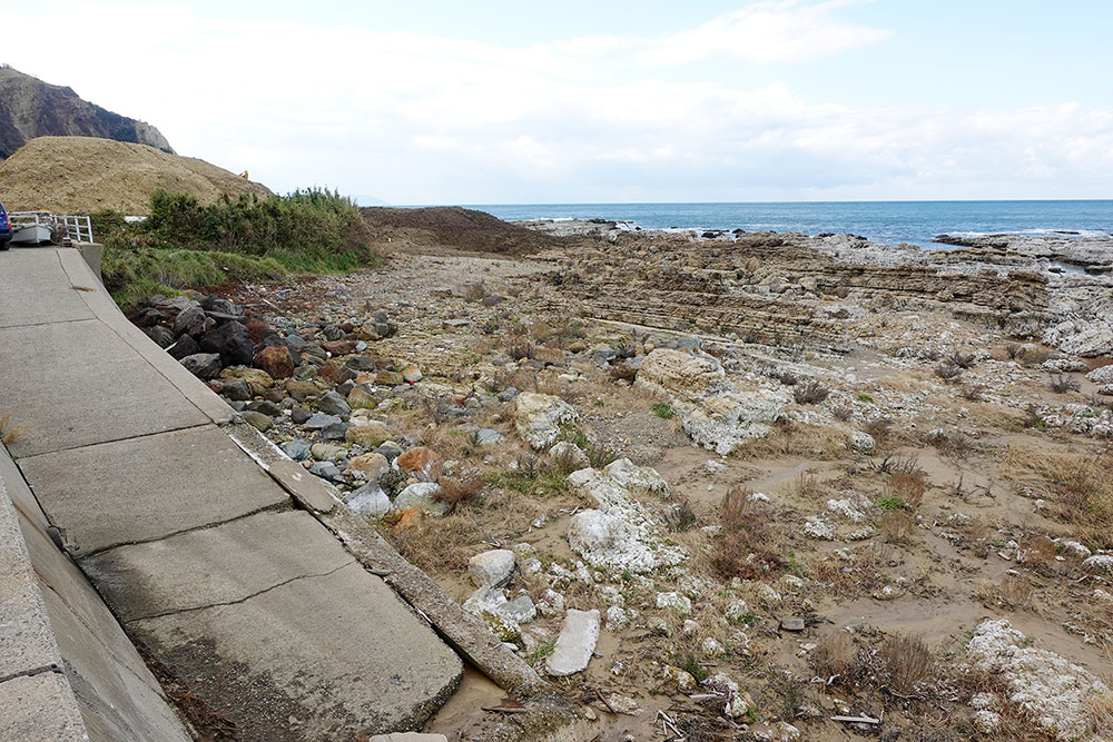 写真：珠洲市の海岸隆起の様子（2024年12月現在）